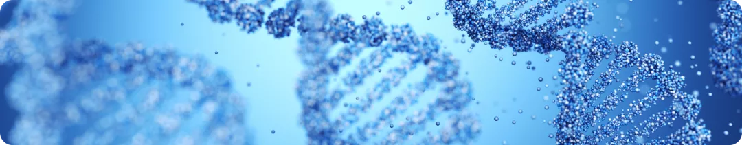 banner (38).png