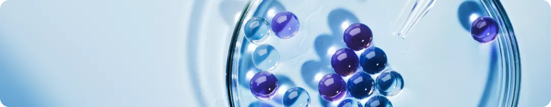 banner (39).png