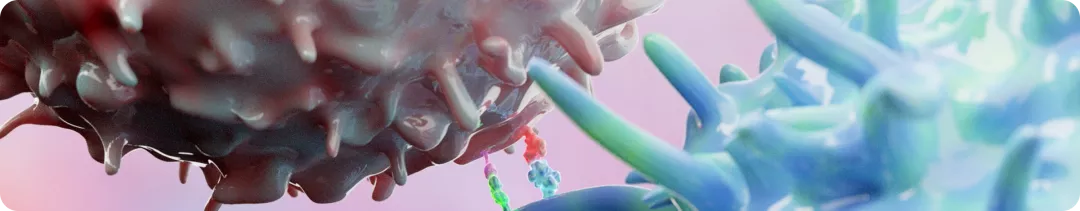 banner (41).png
