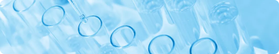 banner (44).png
