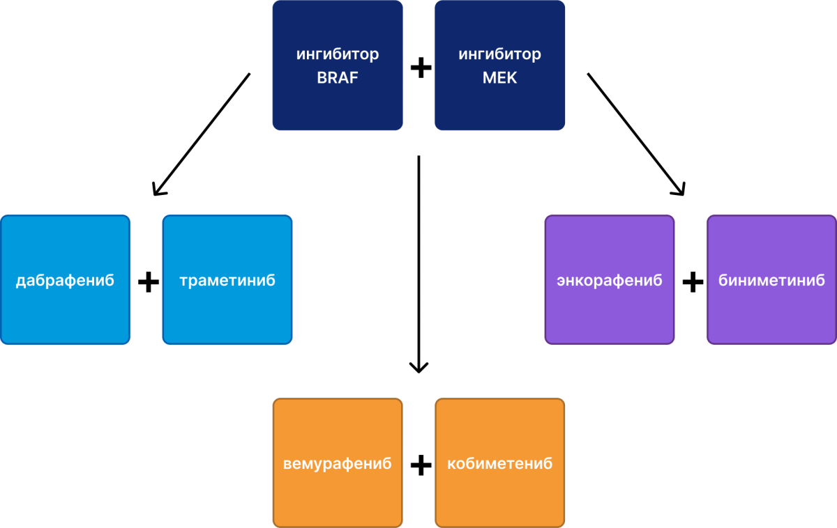Три комбинации ингибиторов BRAF и MEK