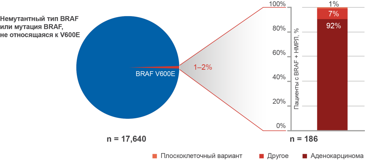 Частота выявления мутации в гене BRAF в зависимости от гистологического варианта НМРЛ