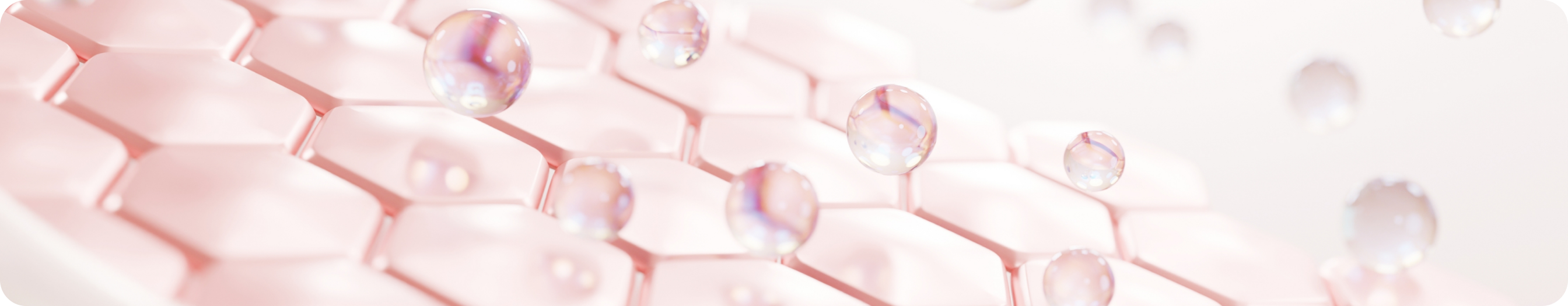 banner (13).png
