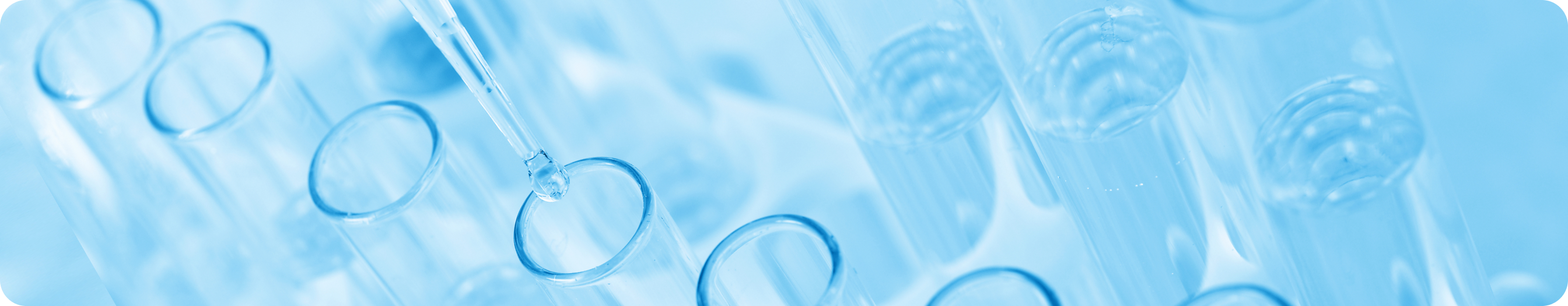 banner (14).png