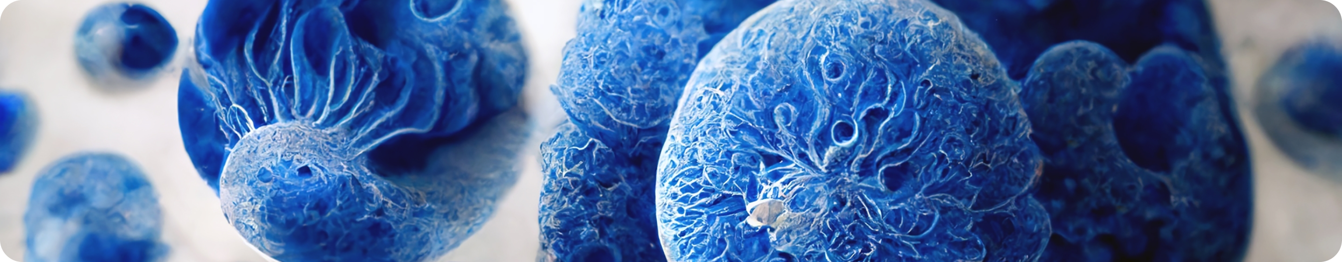 banner (33).png