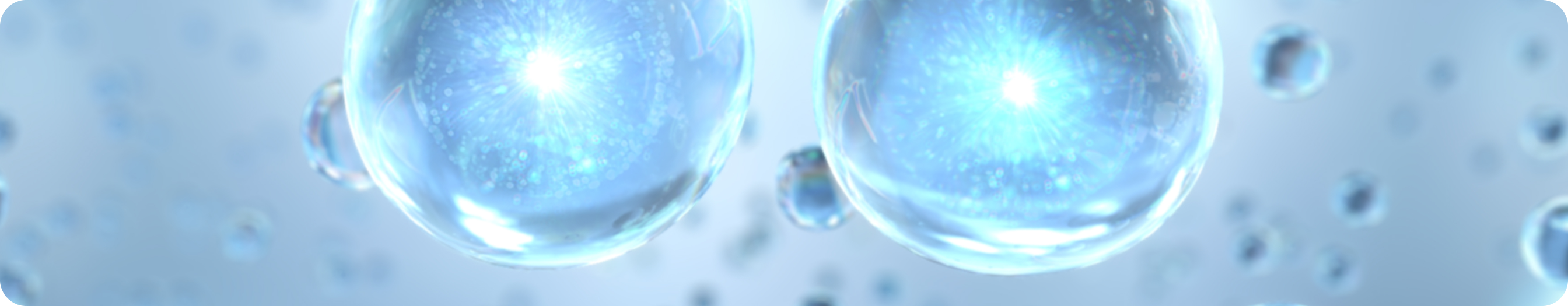 banner (35).png