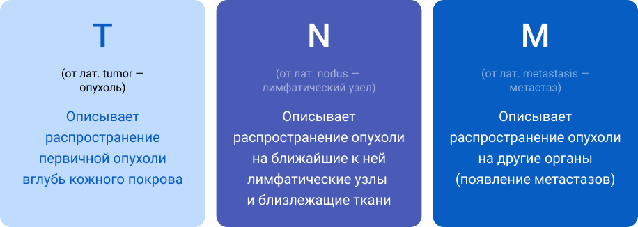 T - (от лат. tumor — опухоль) Описывает распространение первичной опухоли вглубь кожного покрова, N(от лат. nоdus —  лимфатический узел) - Описывает распространение опухоли на ближайшие к ней лимфатические узлы  и близлежащие ткани, M(от лат. metastasis — метастаз) - Описывает распространение опухоли на другие органы (появление метастазов)