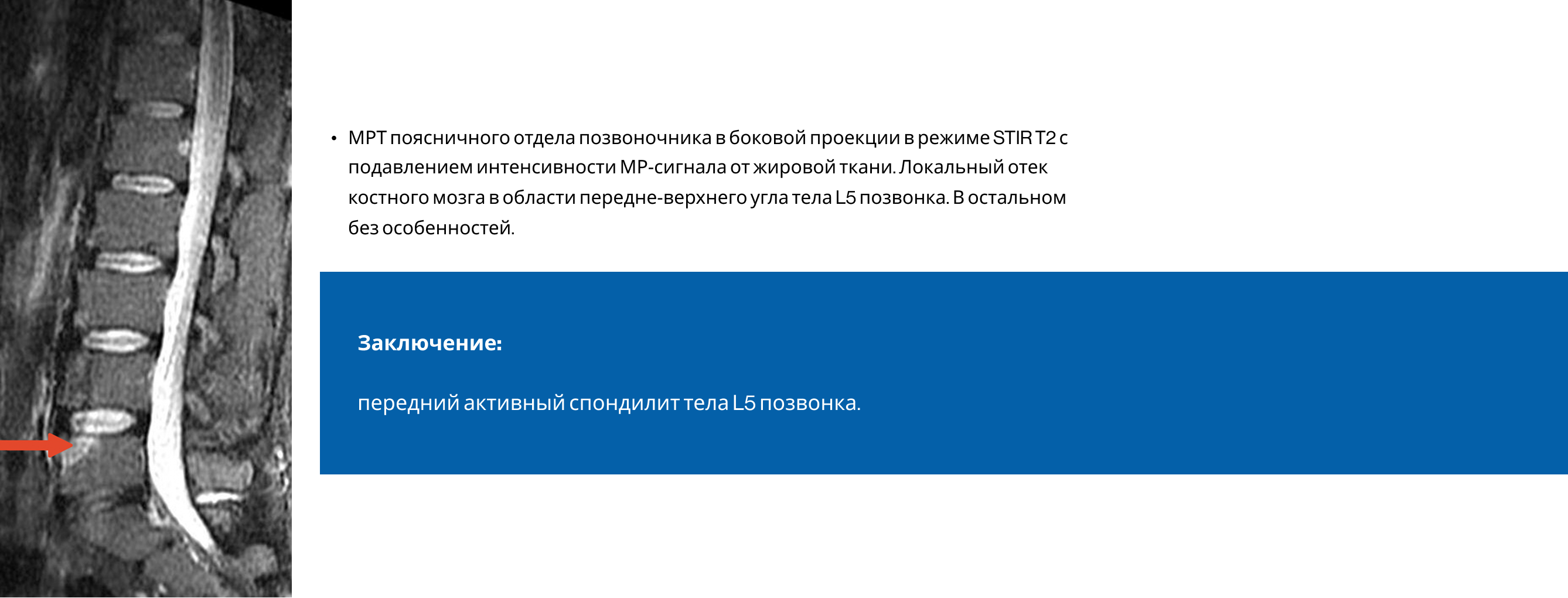 Frame 24062084.png