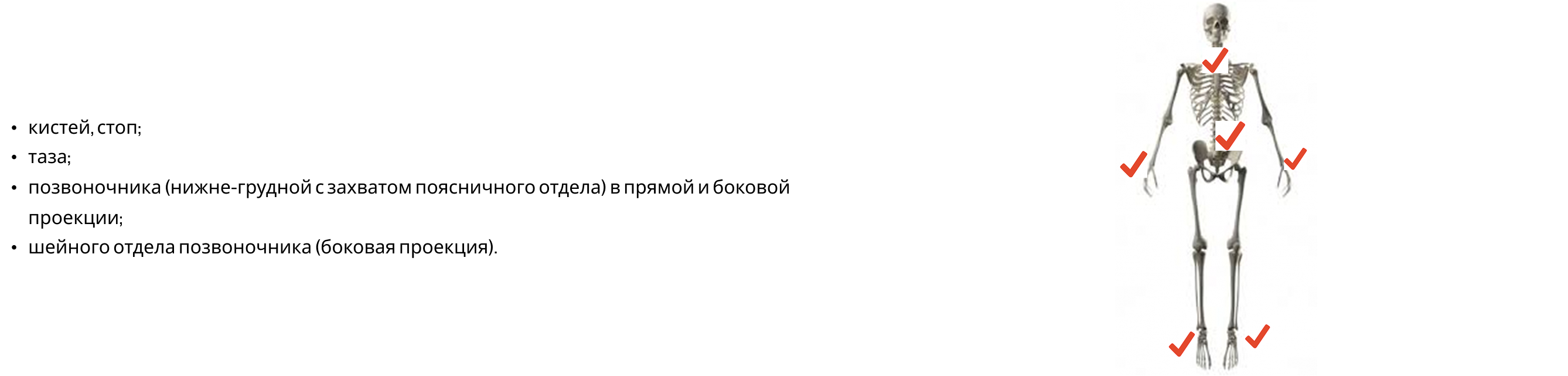 Frame 24062085.png