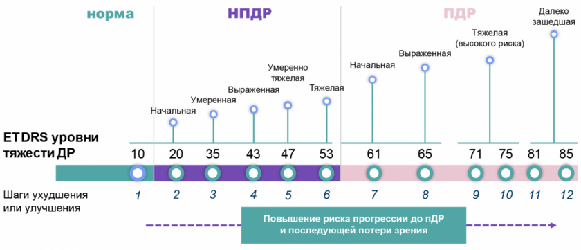 Определение степени тяжести ДР по классификации ETDRS