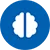 brain