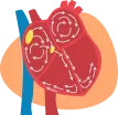 heart-icon